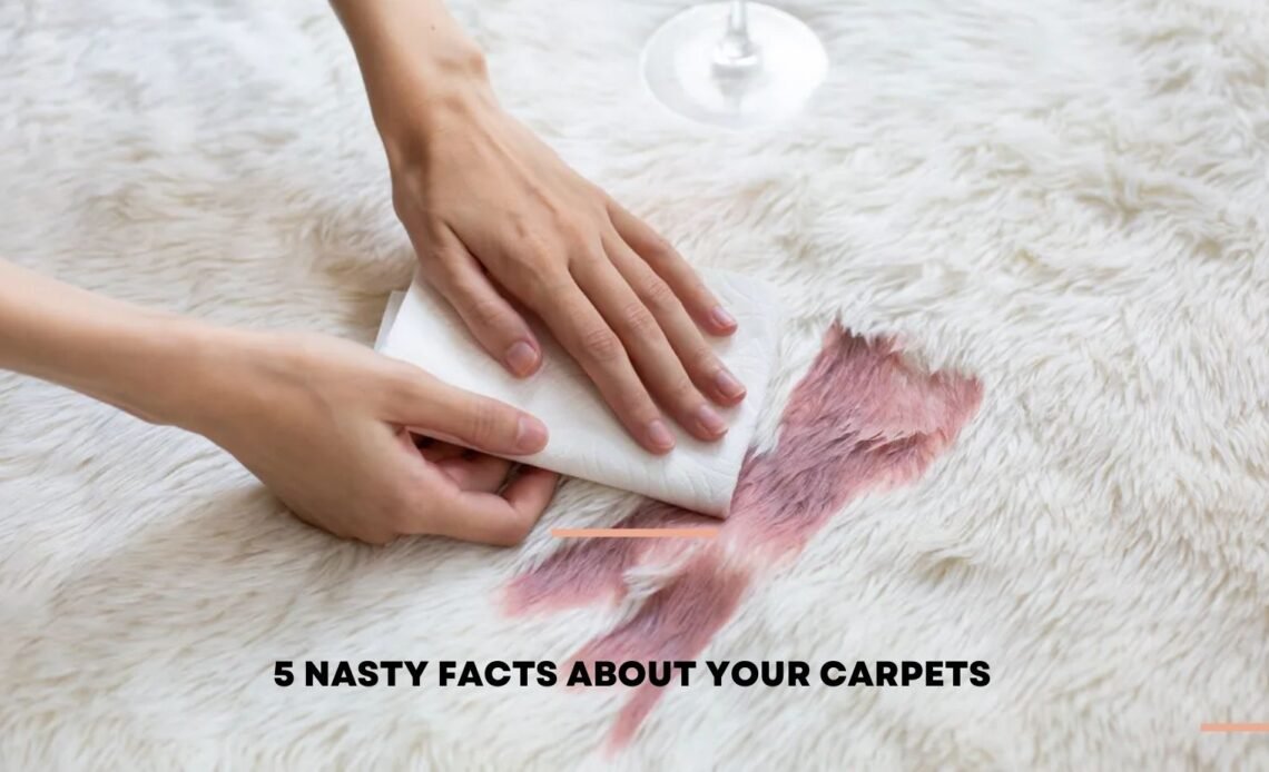 5 Nasty Facts About Your Carpets
