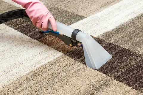 Specialist Carpet Cleaning Services: Your Investment in a Healthier Home